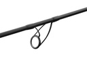 DELPHIN CorsaBlack Nero 3,60m 3lbs 2-teilig