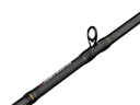 SAVAGE GEAR Revenge SG2 & ABU GARCIA Revo X VoltiQ HS-L – Baitcast Combo